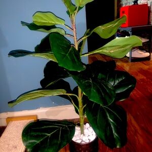Artificial Fiddle Leaf fig